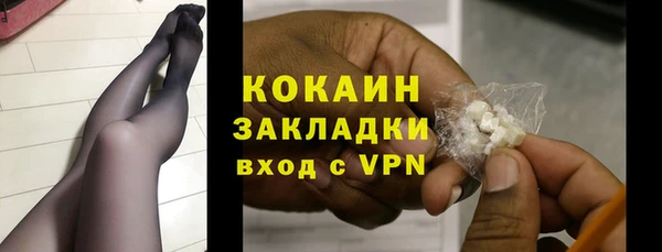 гидра Пересвет