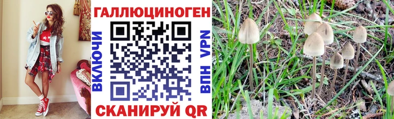 Псилоцибиновые грибы Psilocybine cubensis  сколько стоит  ОМГ ОМГ зеркало  Сортавала 
